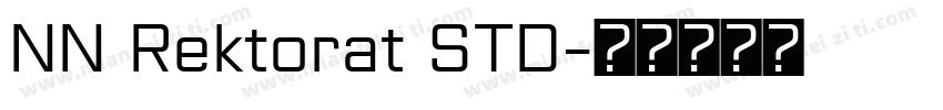 NN Rektorat STD字体转换
